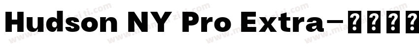Hudson NY Pro Extra字体转换